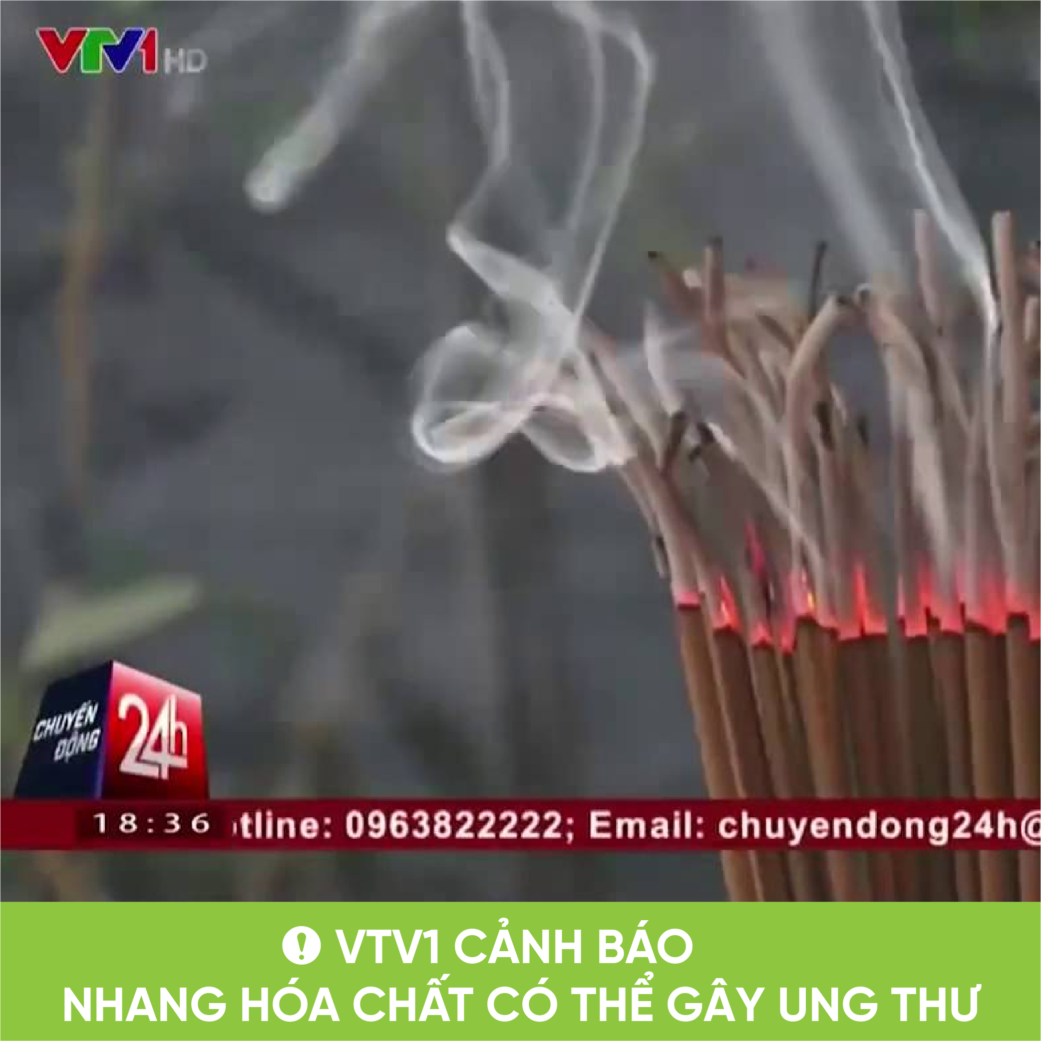 26082020-tu-bo-nhang-hoa-chat-dung-nhang-sach-05