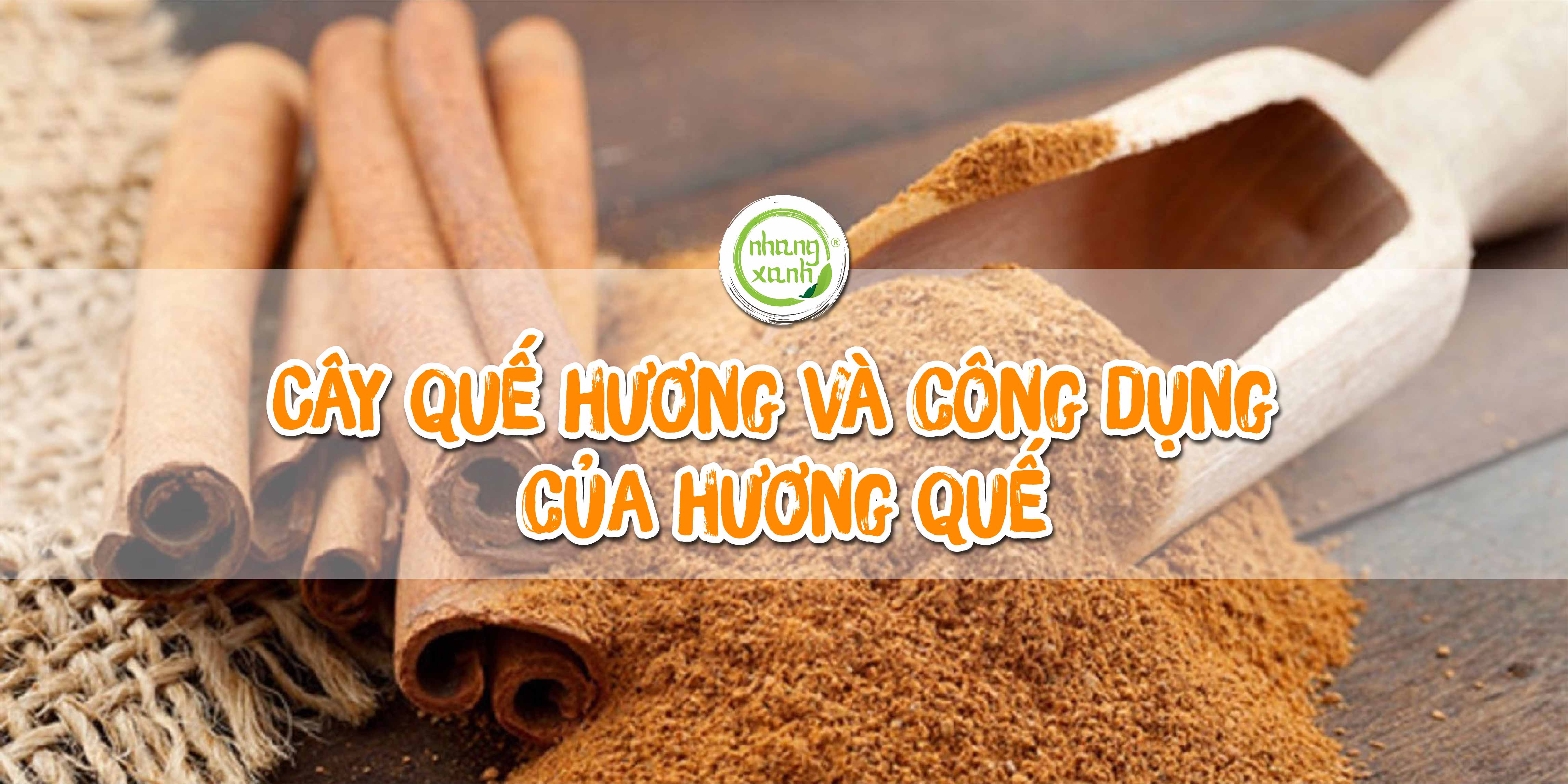 Cây quế hương và những công dụng của hương quế