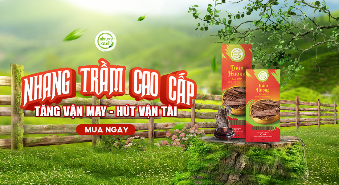 banner-quang-cao-nhang-tram-cao-cap