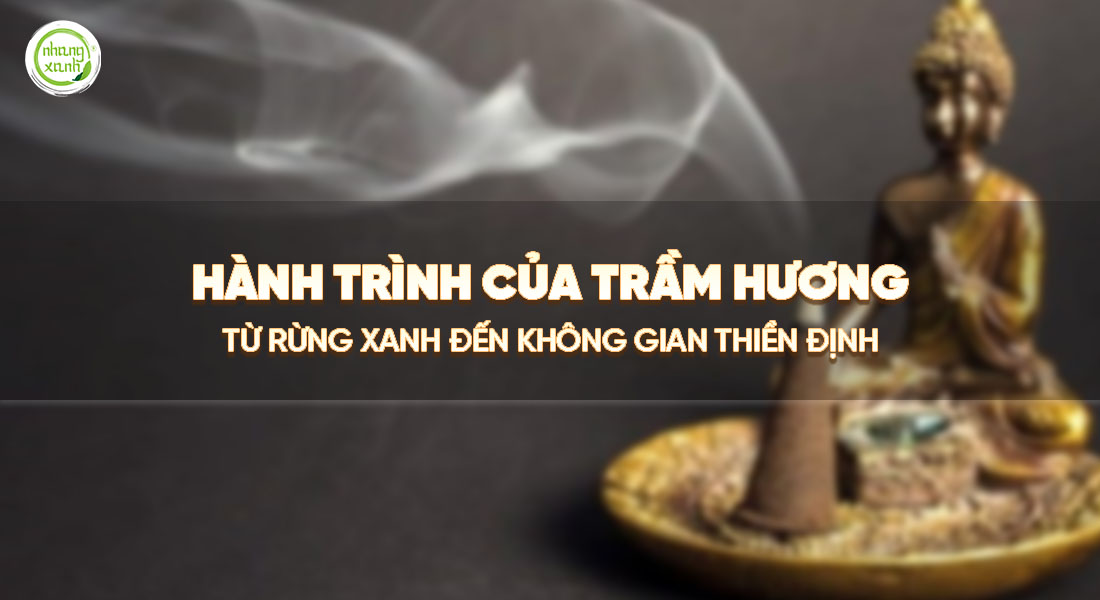 Hành trình của trầm hương - từ rừng xanh đến không gian thiền tịnh