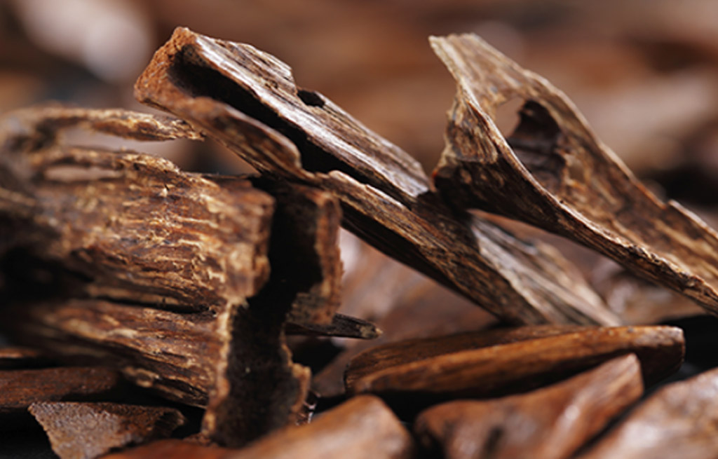 tram-huong-la-gi-tiet-lo-nhung-bi-mat-duoc-an-giau-cua-tram-huong